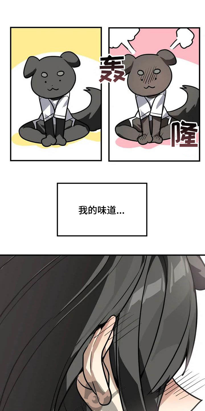第17章：味道9