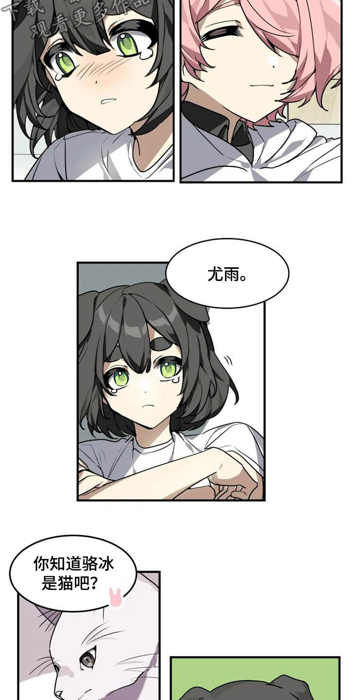 第19章：分析9