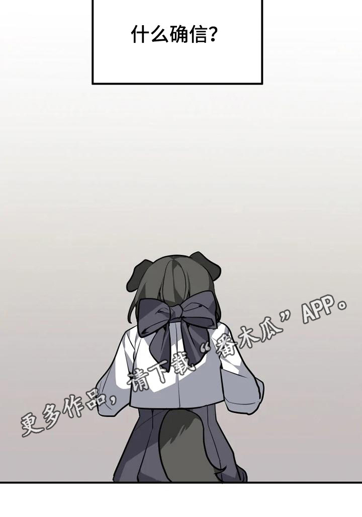 第13章：确信16