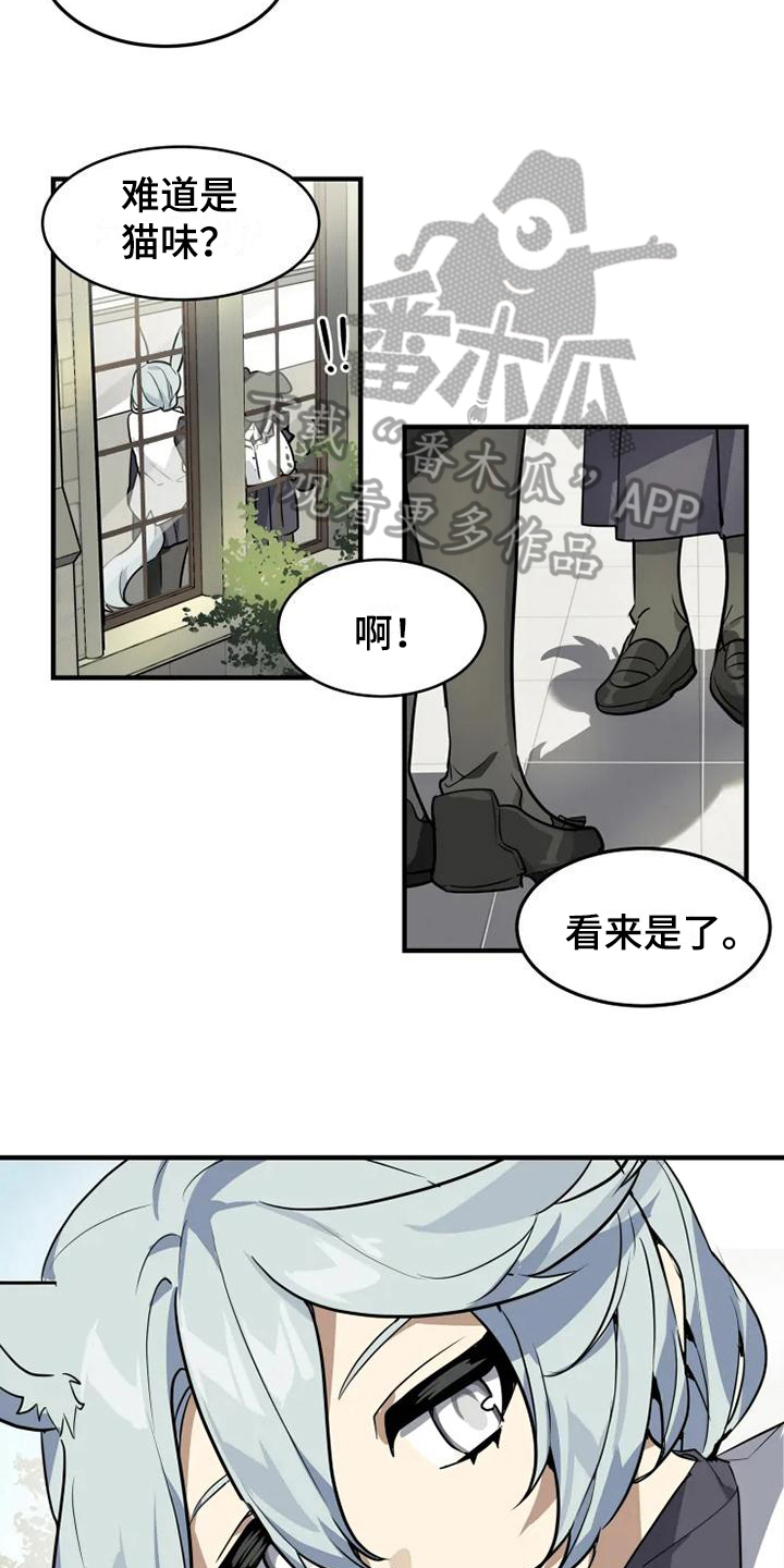 第6章：带路6
