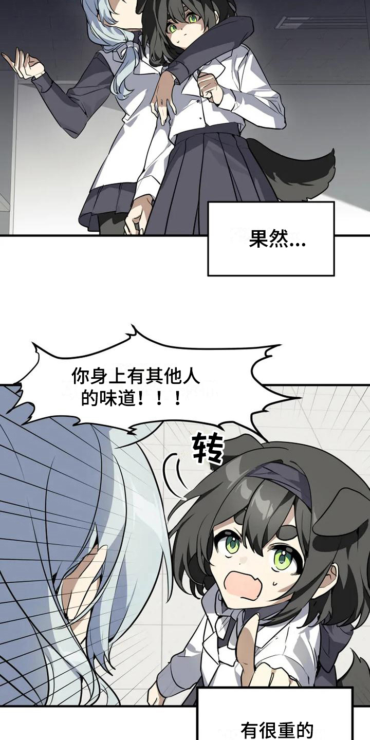 第6章：带路4