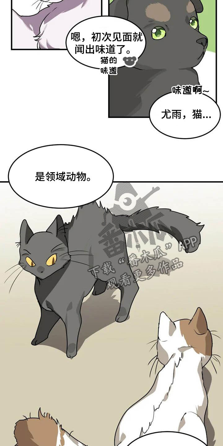 第19章：分析10
