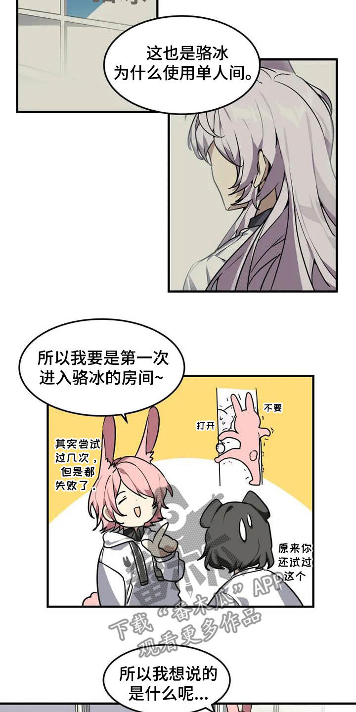 第19章：分析12