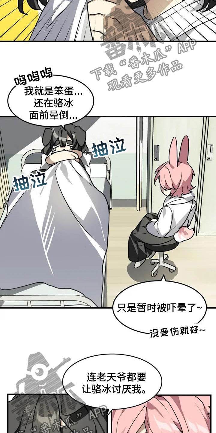 第19章：分析8