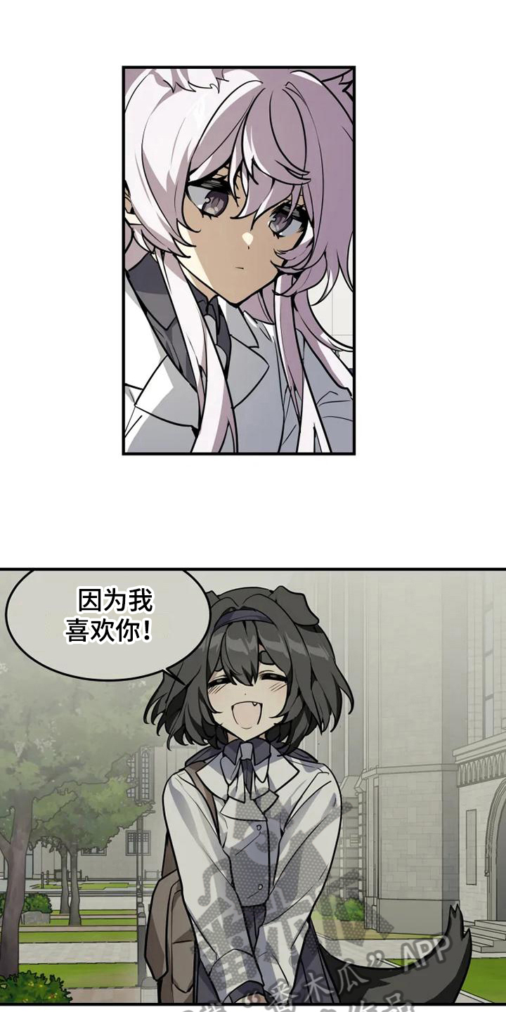 第11章：忧虑1