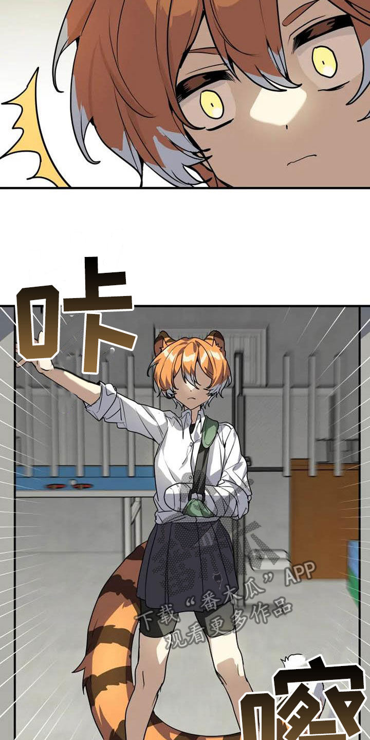 第23章：态度转变11