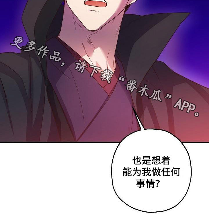 第60章：密谋19