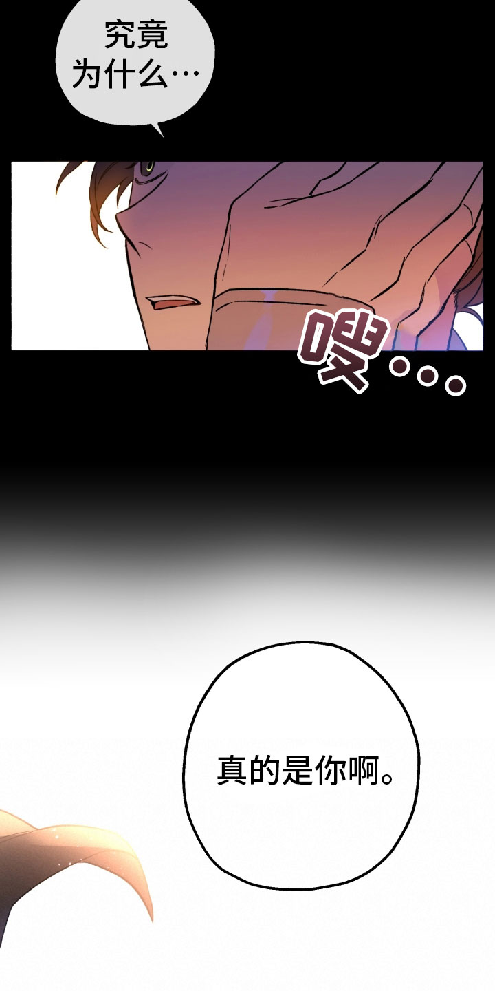 第1章：逃跑中7
