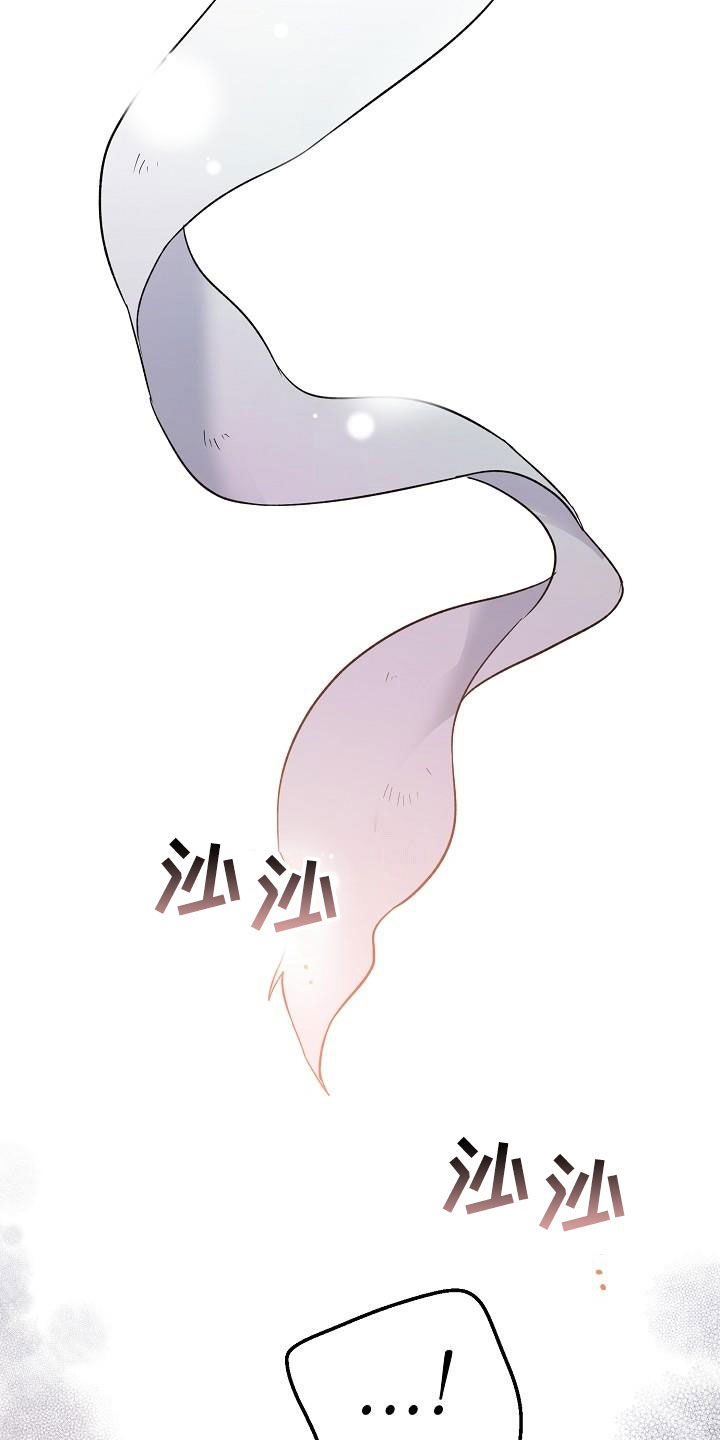 第65章：伪装0