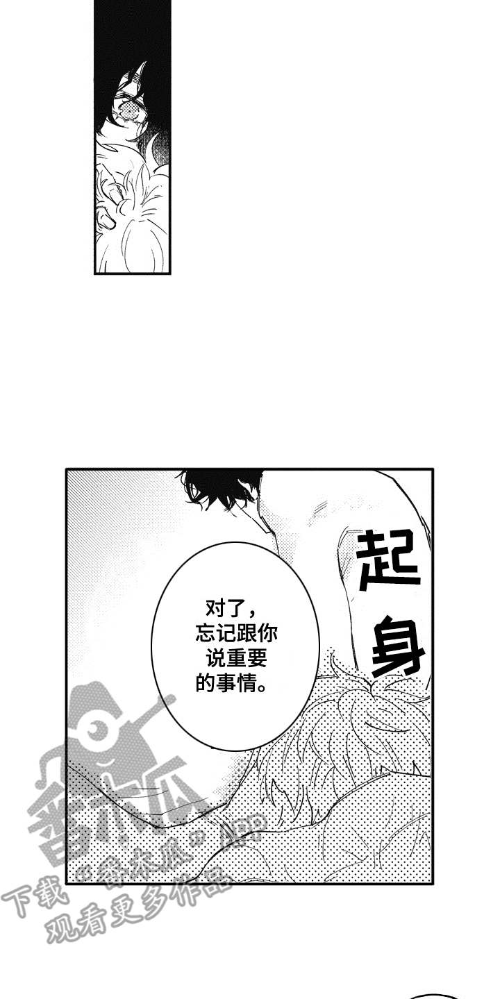 第19章：理由8