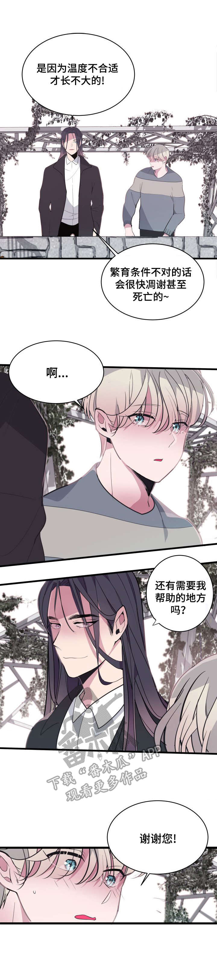第11章：改变主意4