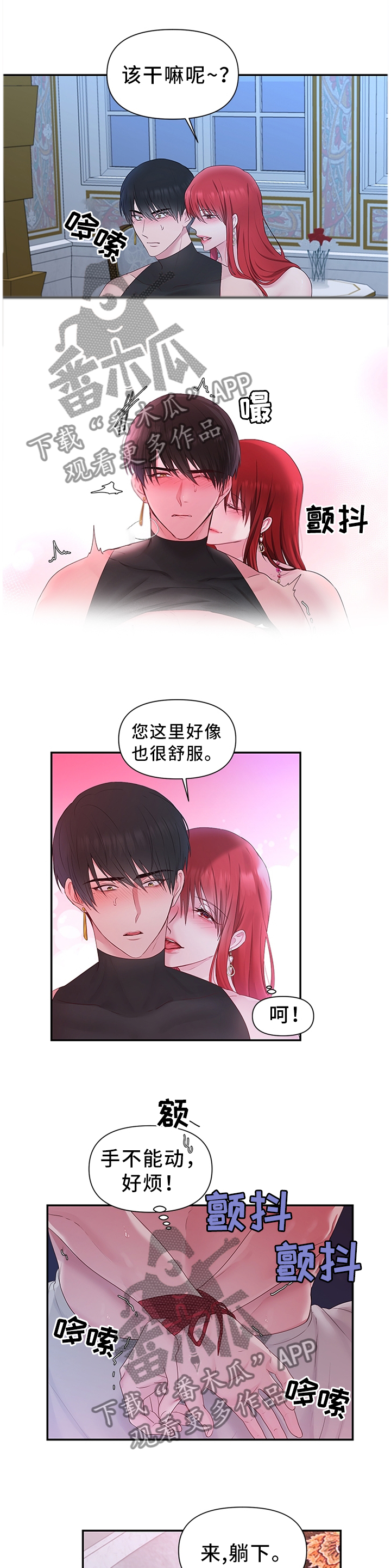 第48章：下一步的计划9
