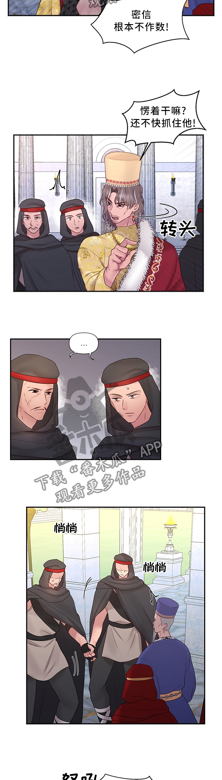 第60章：可以反击了9