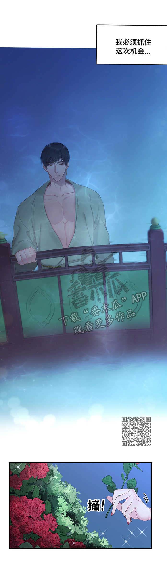 第8章：散步6