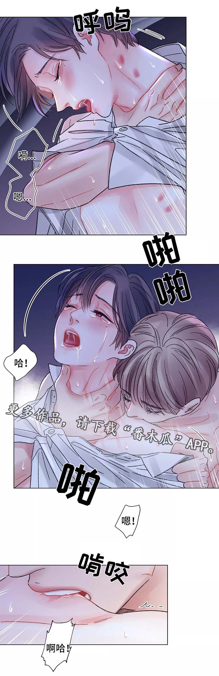 第51章：对不起5