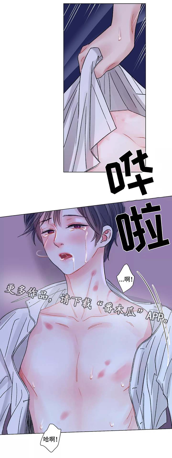 第51章：对不起8