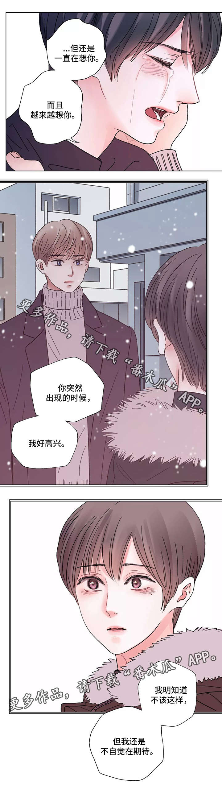 第55章：我爱你8