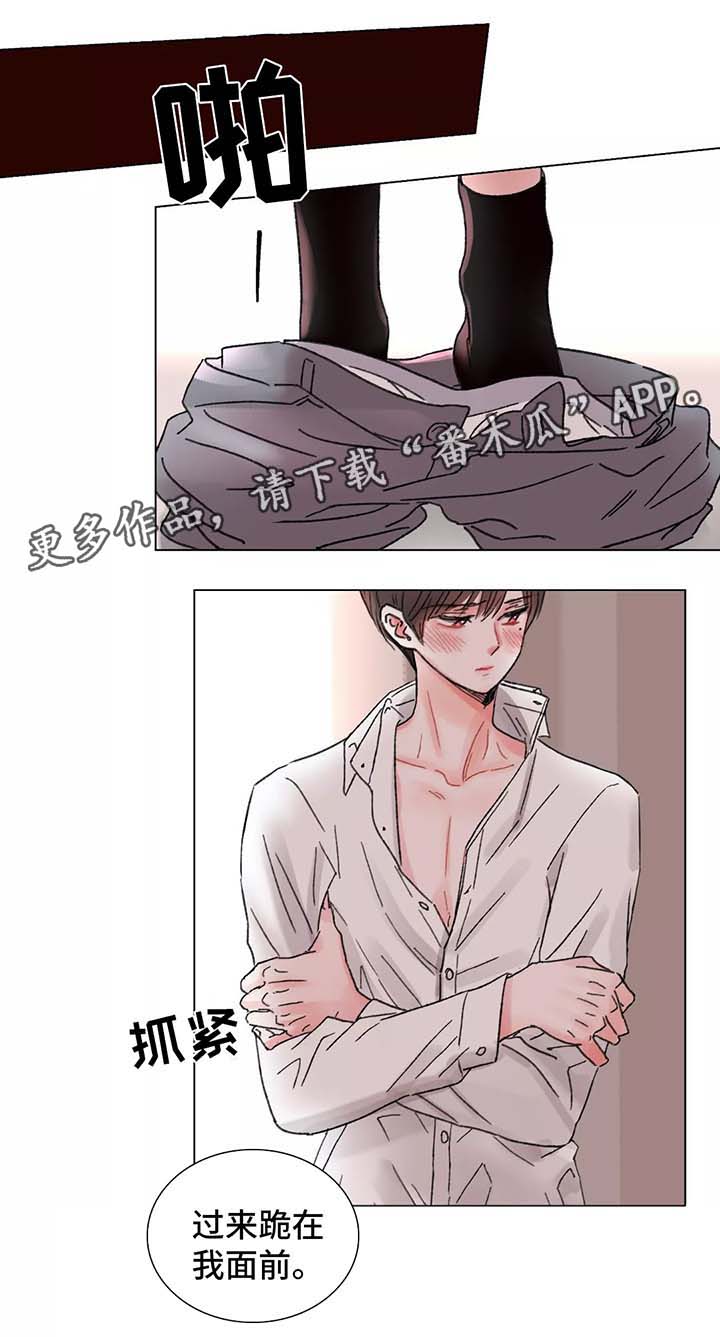 第49章：不想分开10