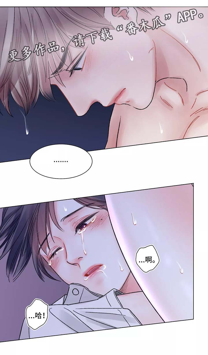 第51章：对不起9