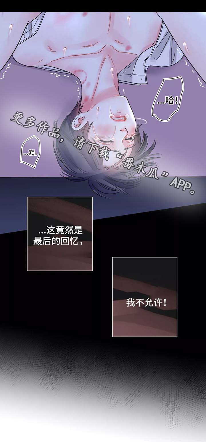 第51章：对不起11