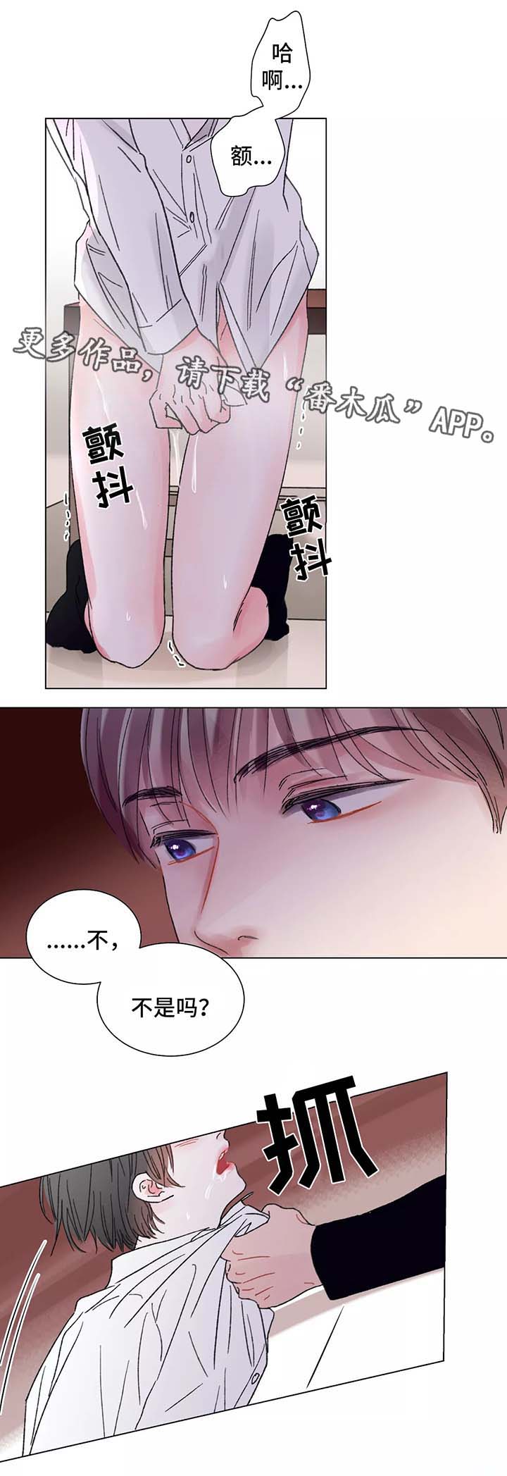 第50章：清醒12