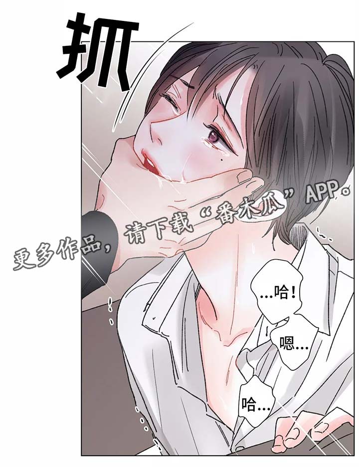 第50章：清醒10