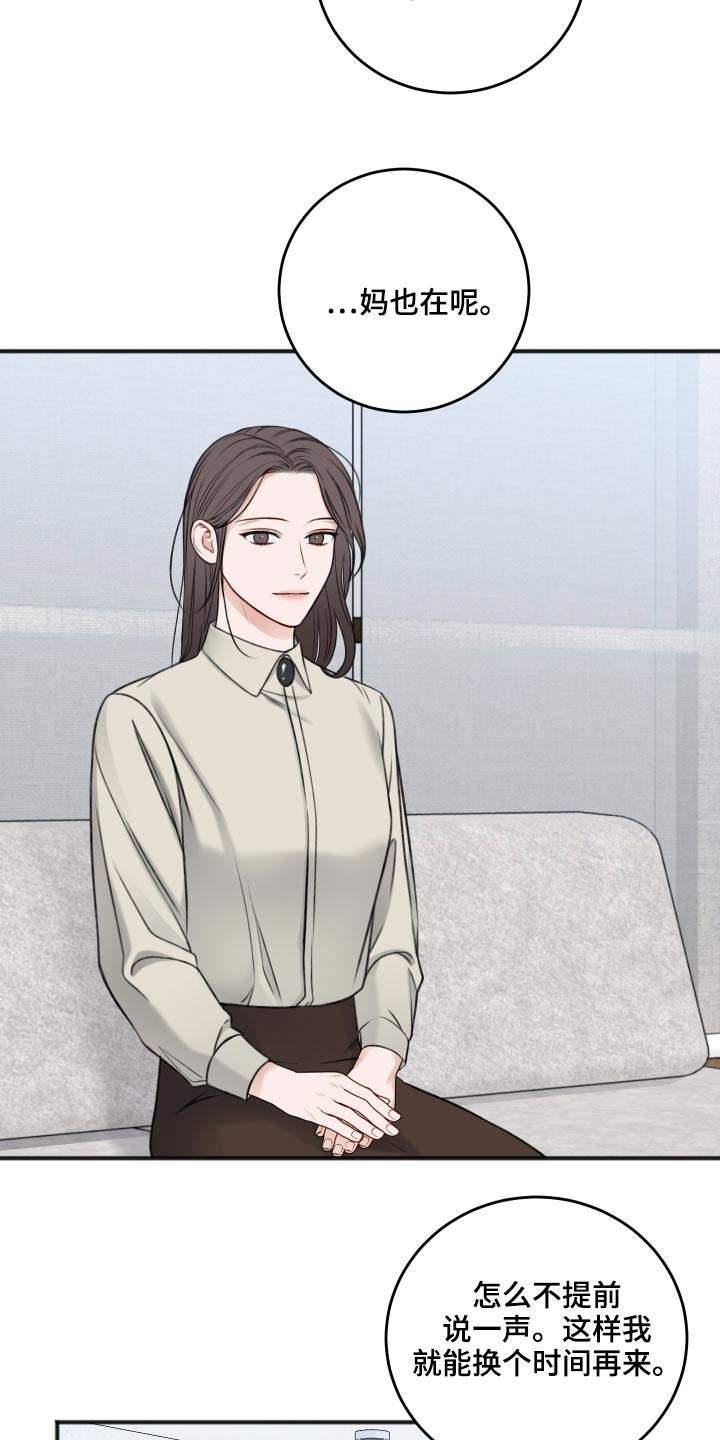 第87章：把柄17