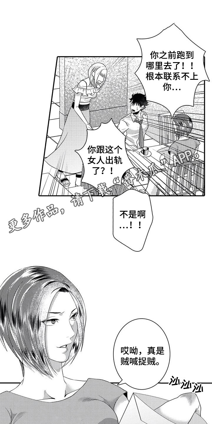 第17章：贼喊捉贼10