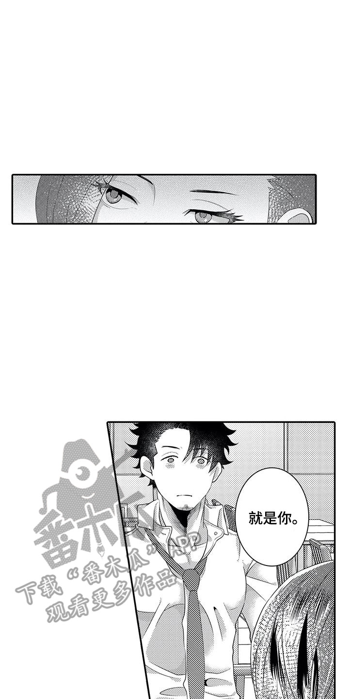 第17章：贼喊捉贼1
