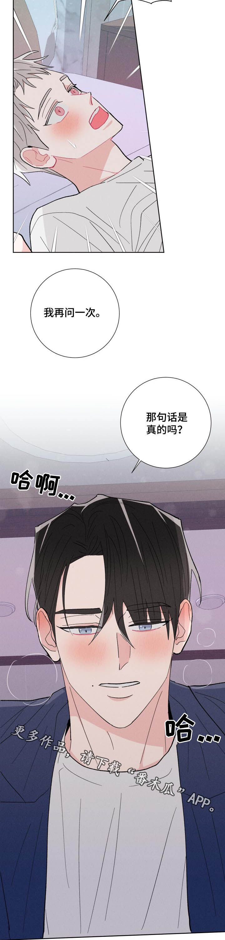 第86章：【番外】是真的吗13