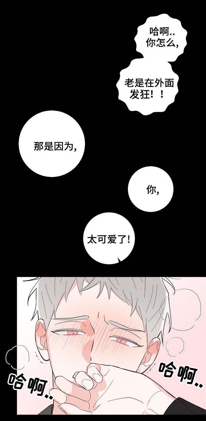 第15章：再次遇见11