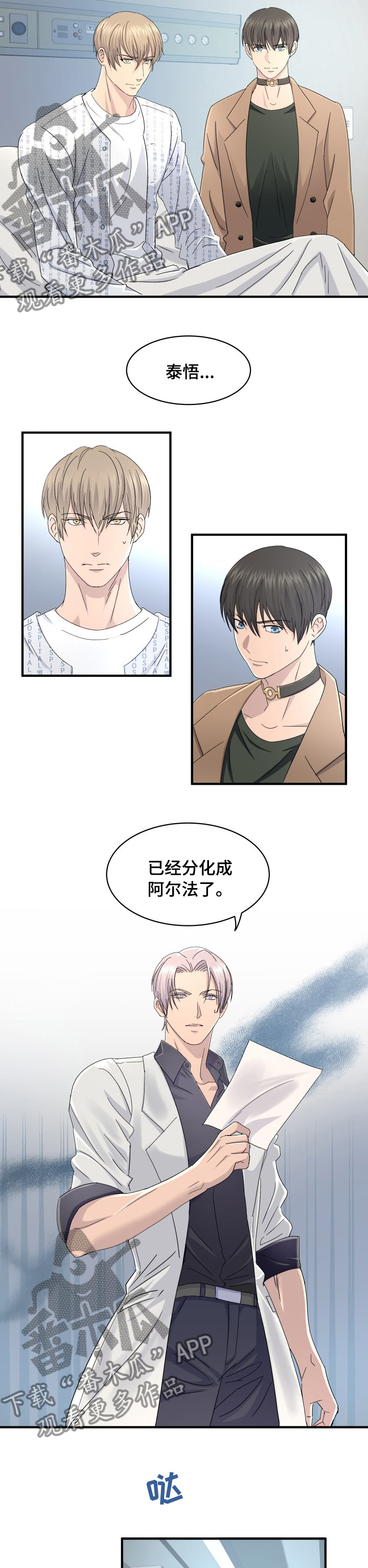 第49章：分化1