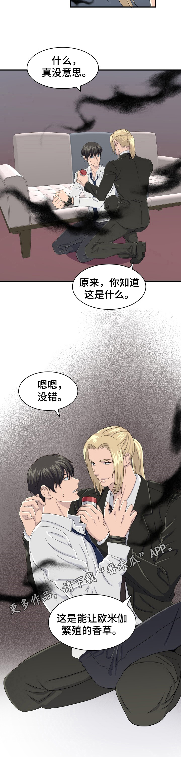 第29章：特殊香草7