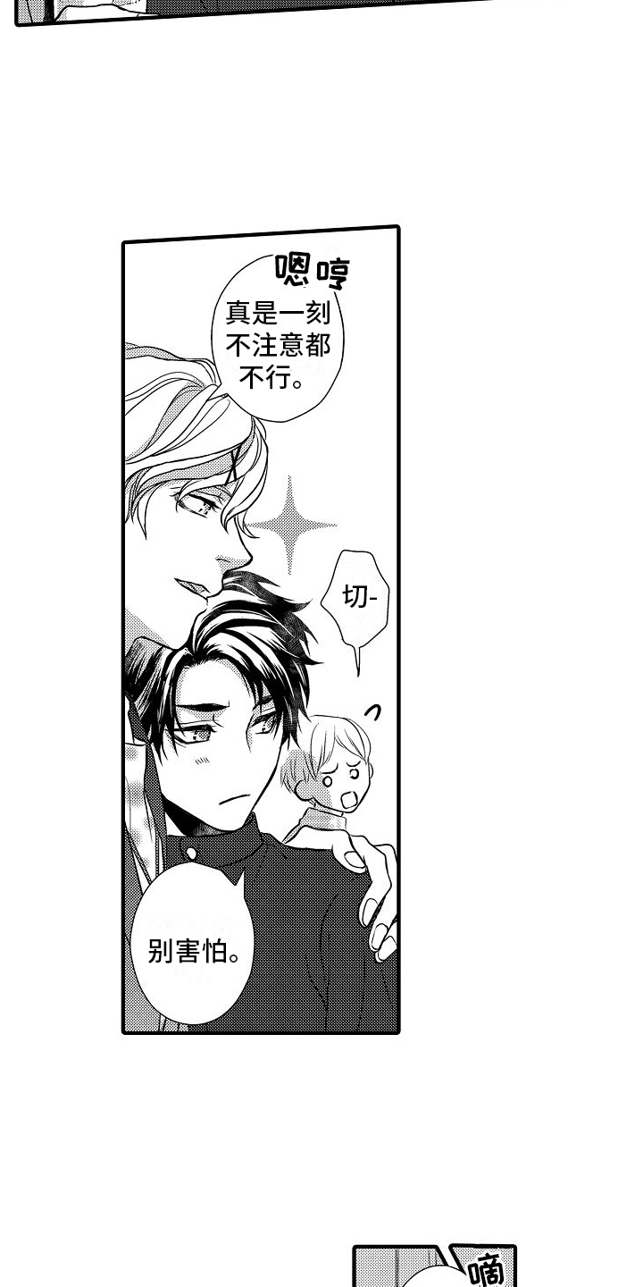 第11章：伪装11