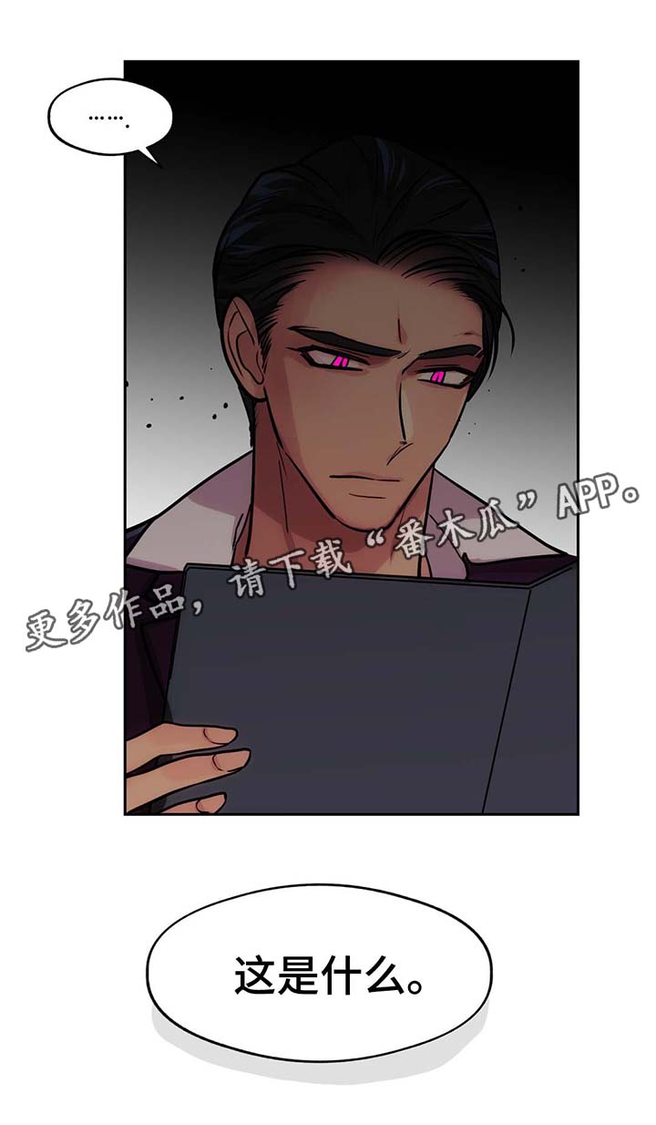 第63章：这是什么16