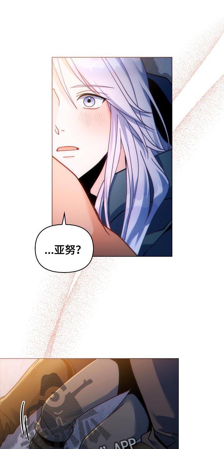第46章：伟大的梦想15