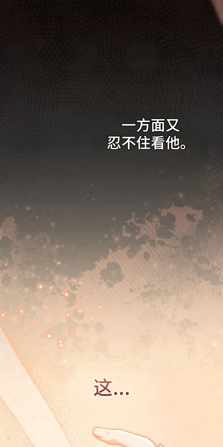 第27章：感兴趣17