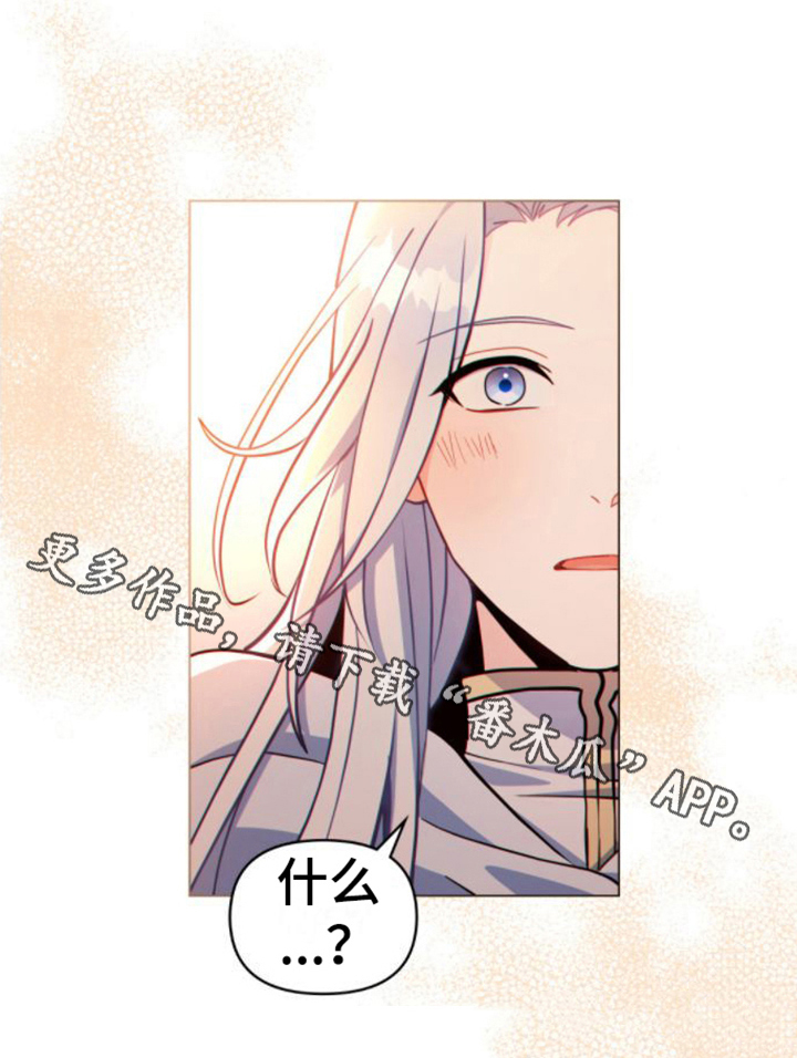 第17章：好奇18