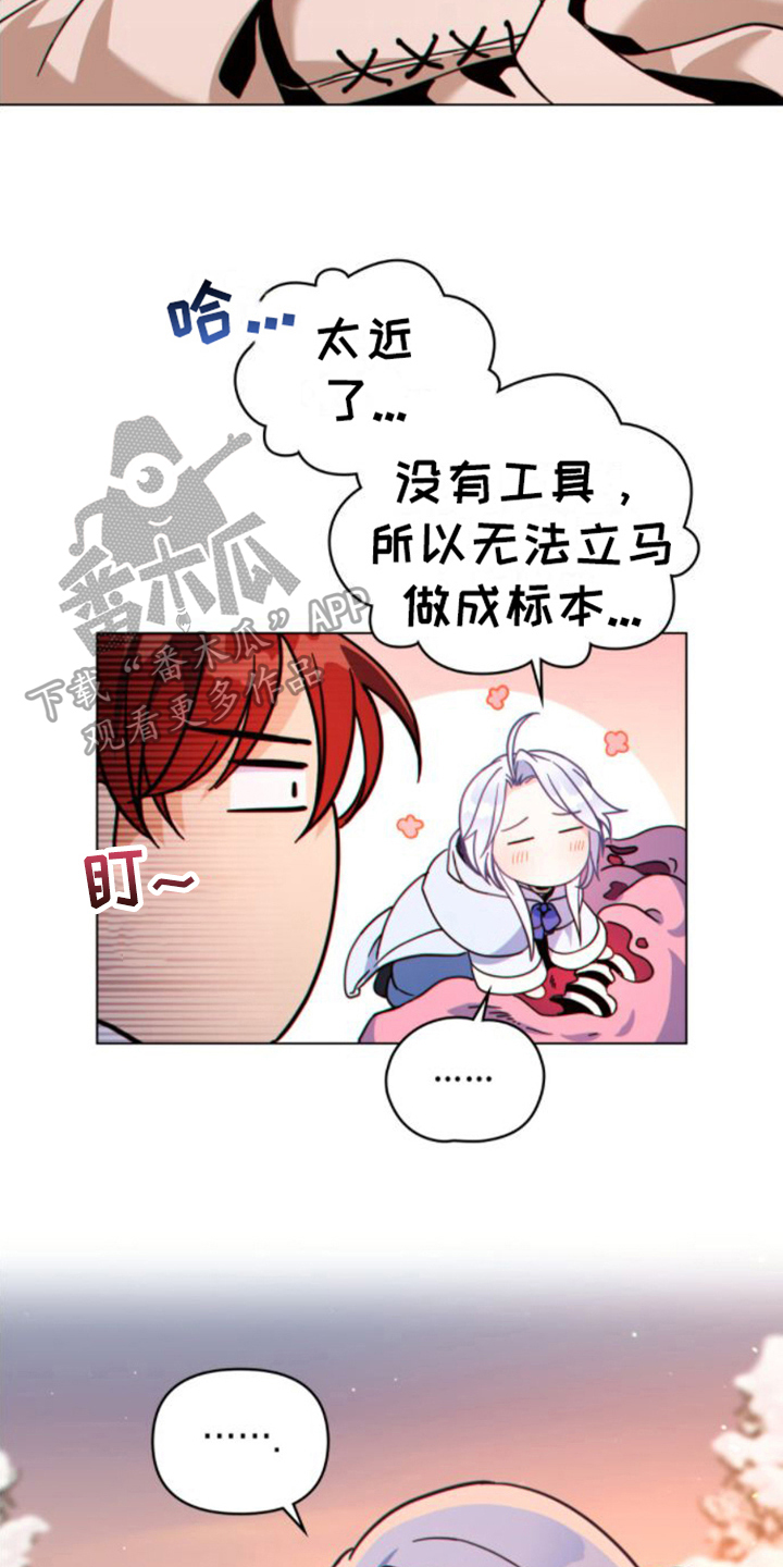 第22章：奇怪5