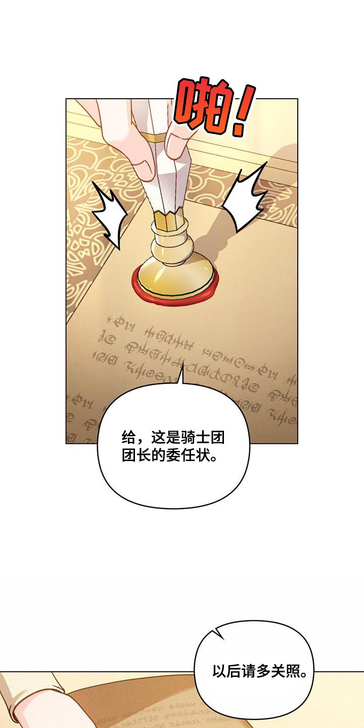 第42章：实力高强的佣兵0