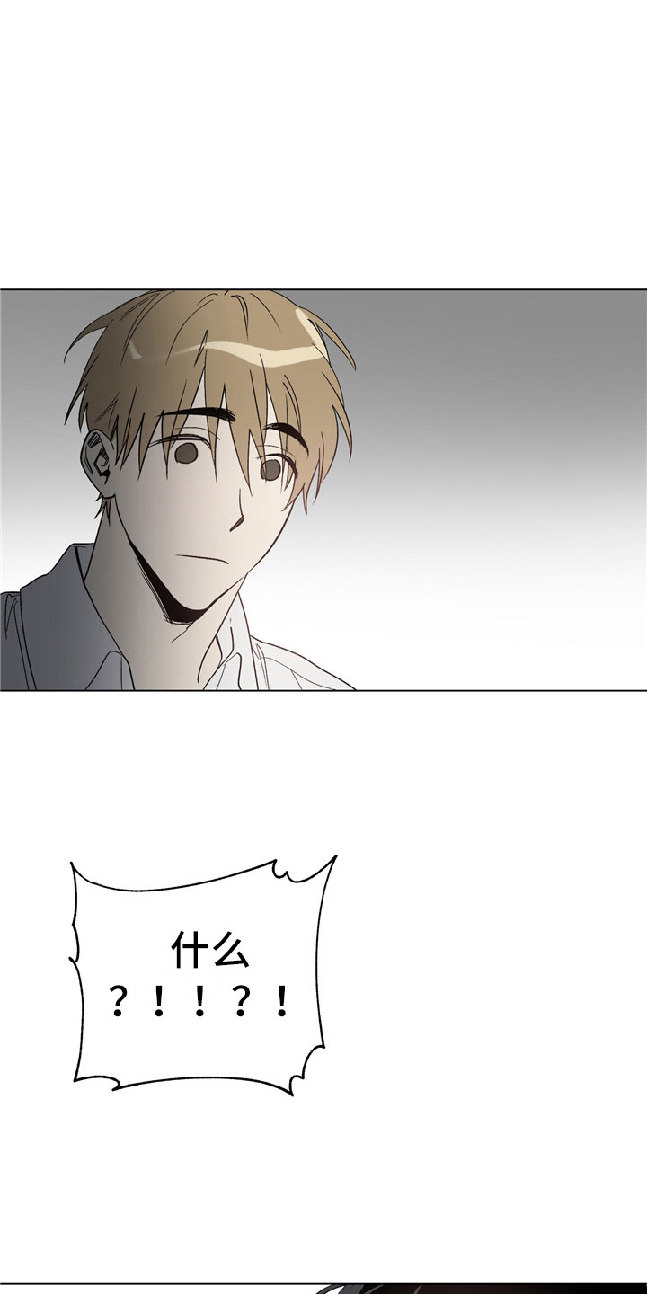 第2章：有点奇怪17