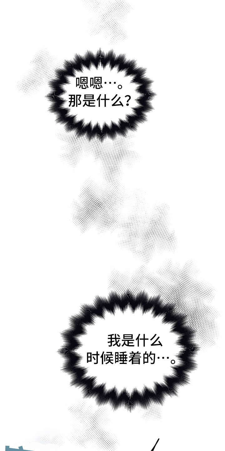 第13章：酒后21