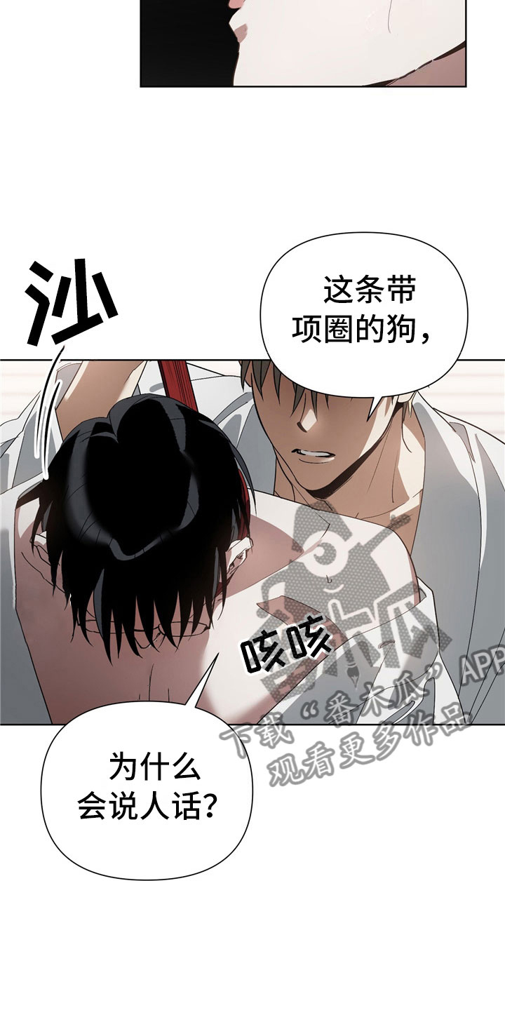 第7章：选择14