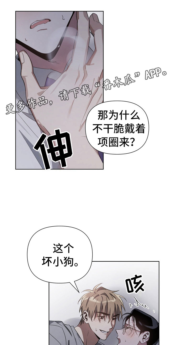 第11章：坏小狗3