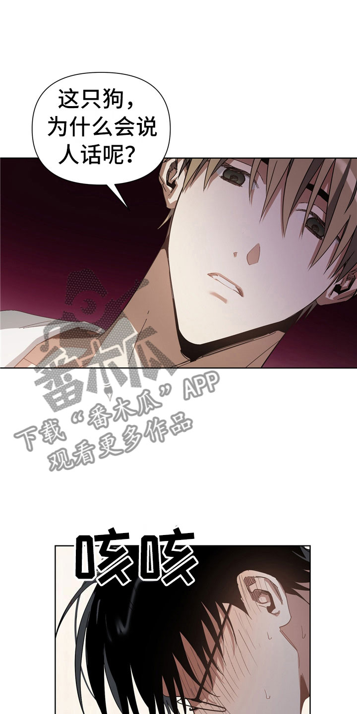 第7章：选择17
