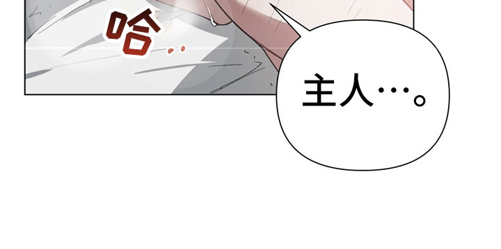 第3章：惩罚24