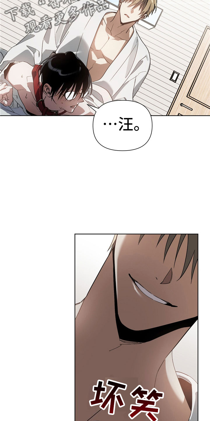 第7章：选择20