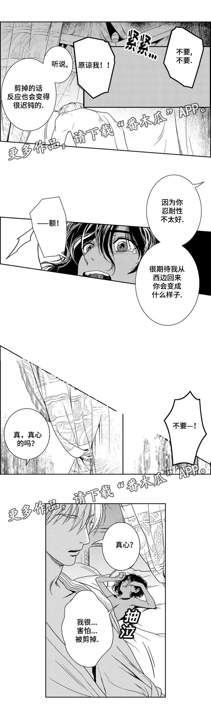 第8章：义务2
