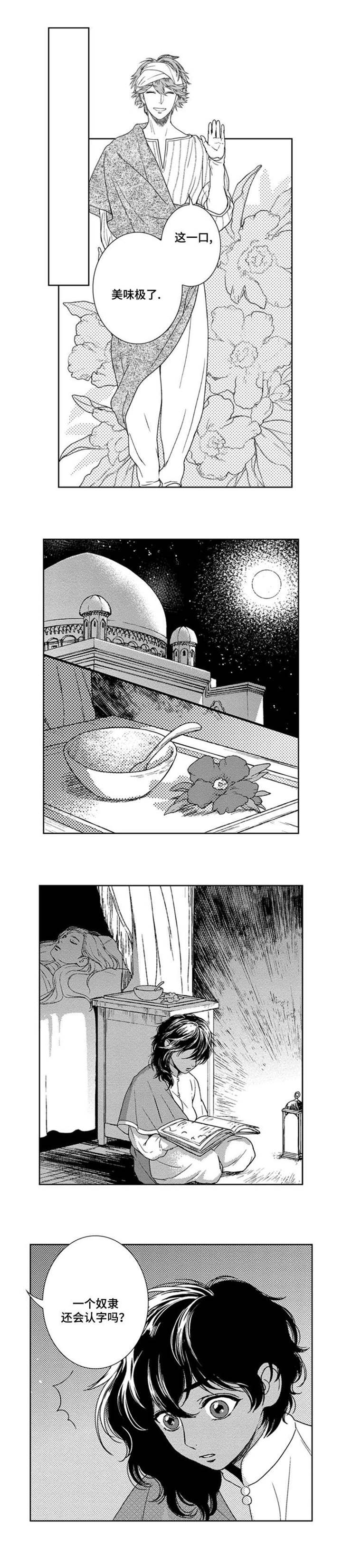第4章：伪装8