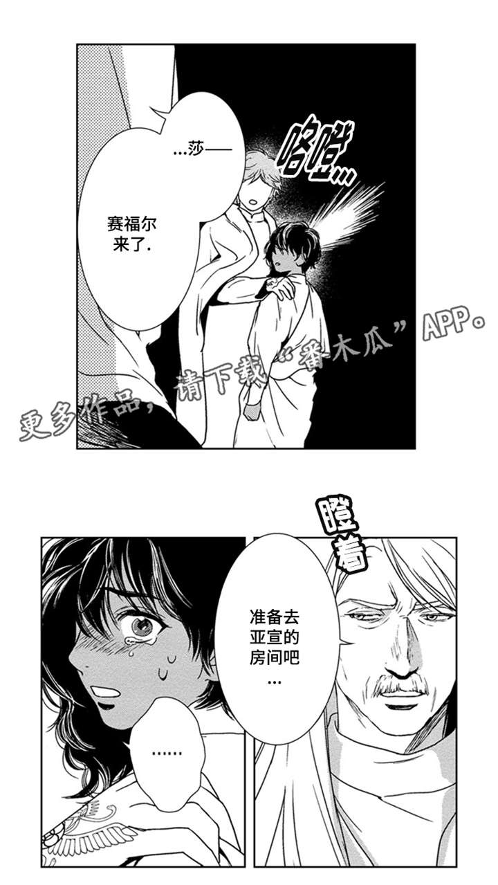 第15章：我喜欢你7